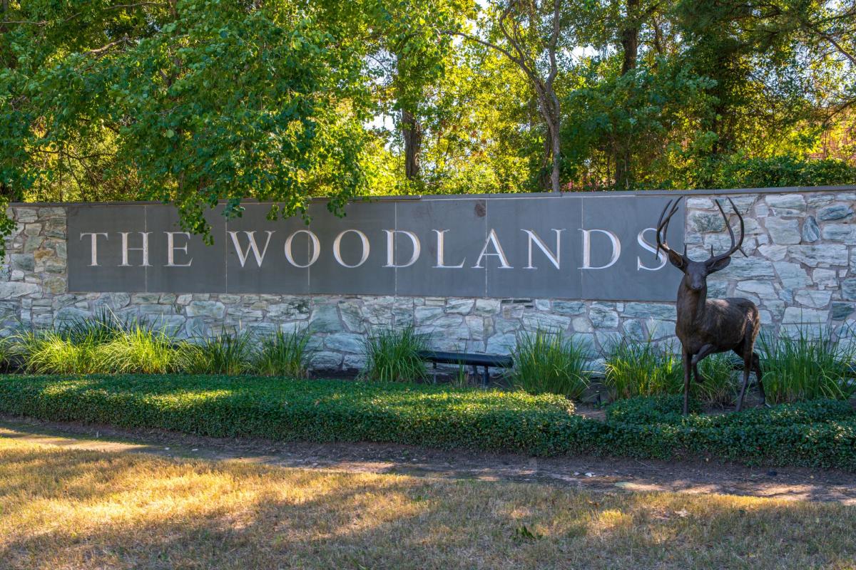 The Woodlands